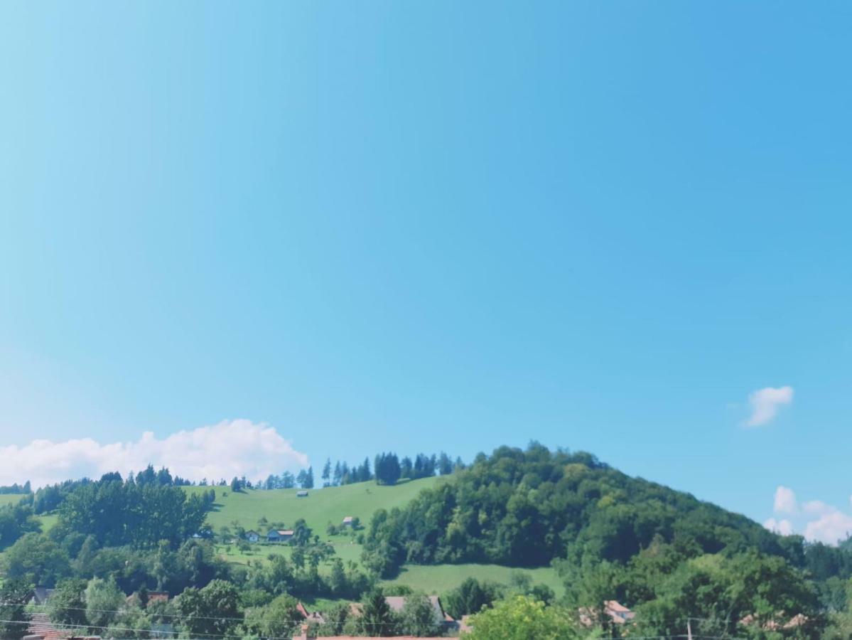 Hotel Casa Gabi Bran  Zewnętrze zdjęcie